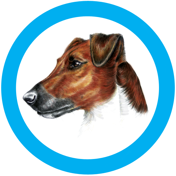 Malerei von Bianca Maier