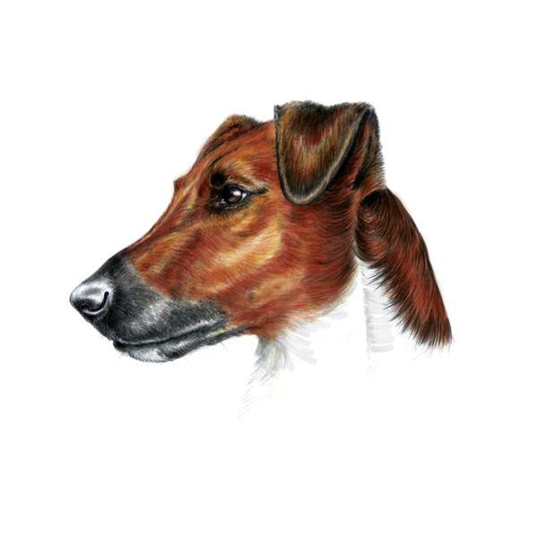 Malerei von Bianca Maier