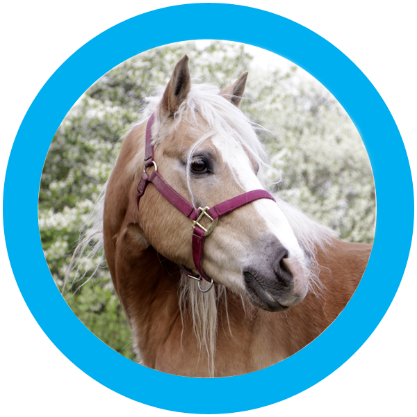 Fotografie von Bianca Maier