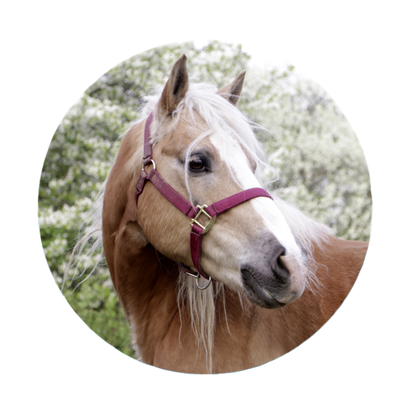 Fotografie von Bianca Maier