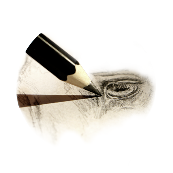 Illustration von Bianca Maier